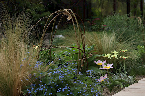 suchomilný trvalkový záhon, kvetinový záhon, tulipány, brunnera macrophylla, stipa tenuissima, tulipa